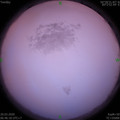 1584661580.jpg
