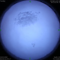 1584662345.jpg