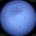 1584662600.jpg