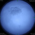 1584663020.jpg