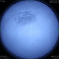 1584663095.jpg