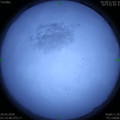 1584663276.jpg