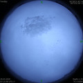1584663336.jpg
