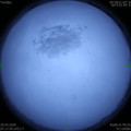 1584663456.jpg