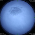1584663516.jpg
