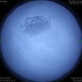 1584663576.jpg