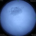 1584663636.jpg