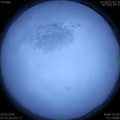 1584663696.jpg