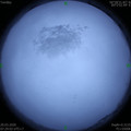 1584664131.jpg