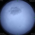 1584664251.jpg