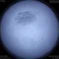 1584664371.jpg