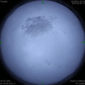 1584664431.jpg