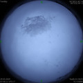 1584664791.jpg