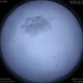1584665106.jpg