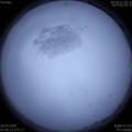 1584665166.jpg