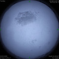 1584665407.jpg
