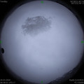 1584668873.jpg