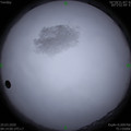 1584670419.jpg