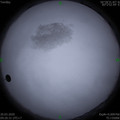 1584670824.jpg