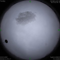 1584672385.jpg