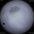 1584672760.jpg