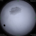 1584673150.jpg