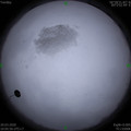 1584673541.jpg