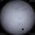 1584690694.jpg