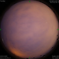1584711074.jpg