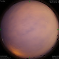 1584711134.jpg