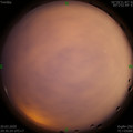 1584711314.jpg