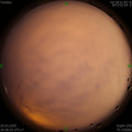 1584711494.jpg