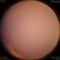 1584746821.jpg