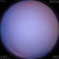 1584747647.jpg