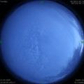 1584796180.jpg