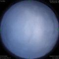 1584837420.jpg