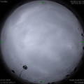 1584852217.jpg