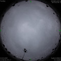 1584856119.jpg