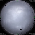 1584861972.jpg