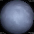 1584876379.jpg