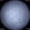 1584878270.jpg