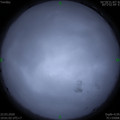 1584878450.jpg