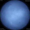 1584880206.jpg