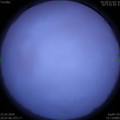 1584882412.jpg