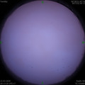1584882787.jpg