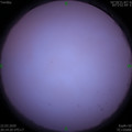 1584882847.jpg