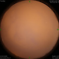 1584884018.jpg