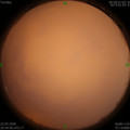 1584884078.jpg