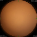 1584884438.jpg