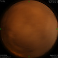 1584903482.jpg